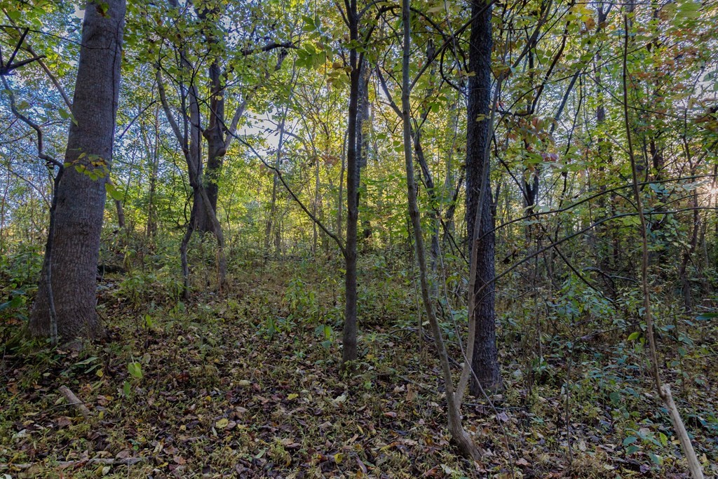 6 Spring View Drive Sevierville, TN 37862 - Photo 12 of 16