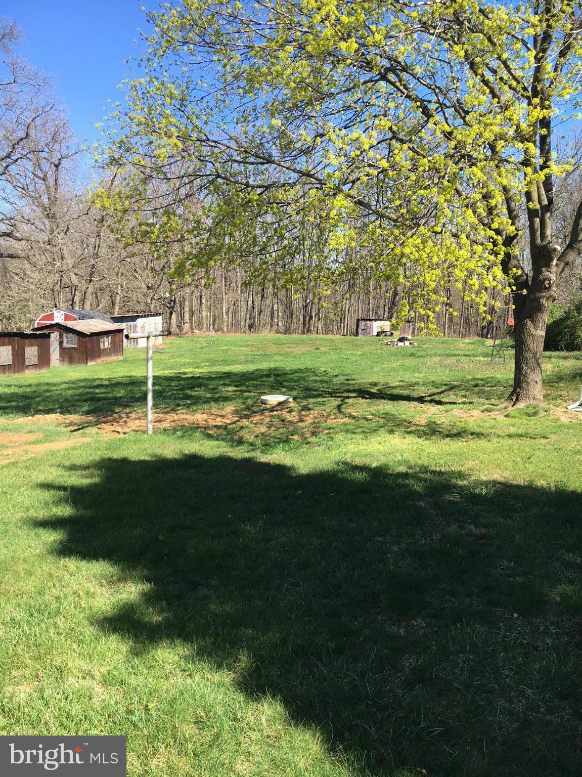170 Andrews Road Strasburg, VA 22657 - Photo 12 of 20 Exterior (Rear)