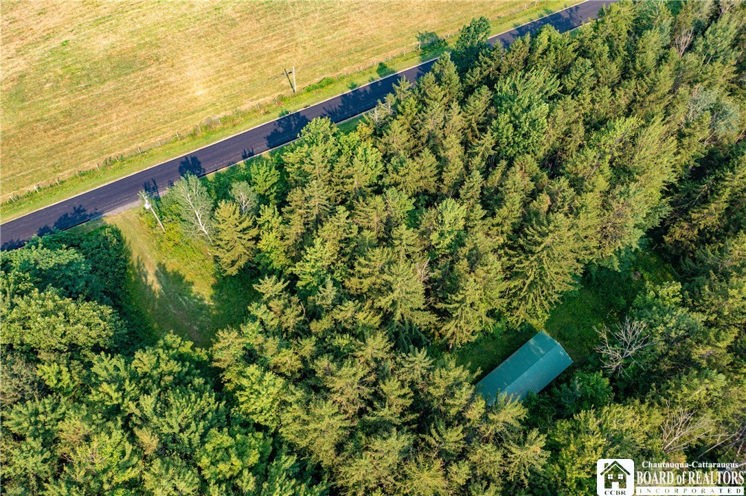 8170 Campbell Road Portland, NY 14769 - Photo 4 of 28 Gallery Image 4