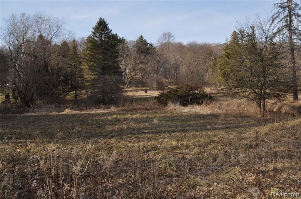 36391 Howard Road Farmington Hills, MI 48331 - Photo 6 of 17