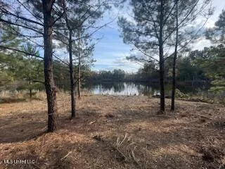 $245,000 | 1043 Hwy 24 W Mccomb Ms 39648, McComb, MS 39648