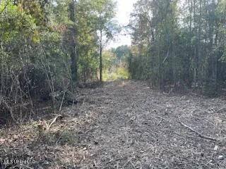 $245,000 | 1043 Hwy 24 W Mccomb Ms 39648, McComb, MS 39648