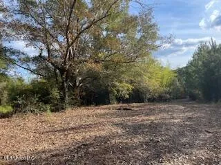 $245,000 | 1043 Hwy 24 W Mccomb Ms 39648, McComb, MS 39648