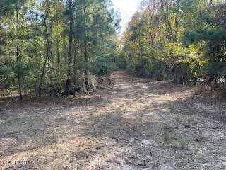 $245,000 | 1043 Hwy 24 W Mccomb Ms 39648, McComb, MS 39648