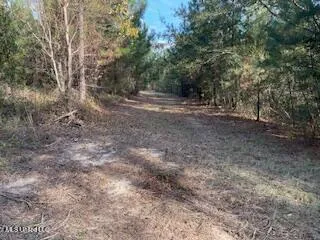 $245,000 | 1043 Hwy 24 W Mccomb Ms 39648, McComb, MS 39648