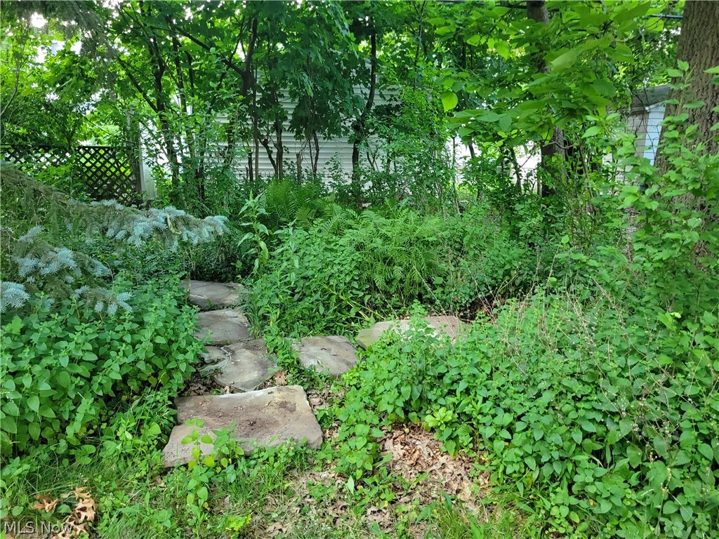3953 Ardmore Road Cleveland Heights, OH 44121 - Photo 26 of 28 View of mother earth's splendor