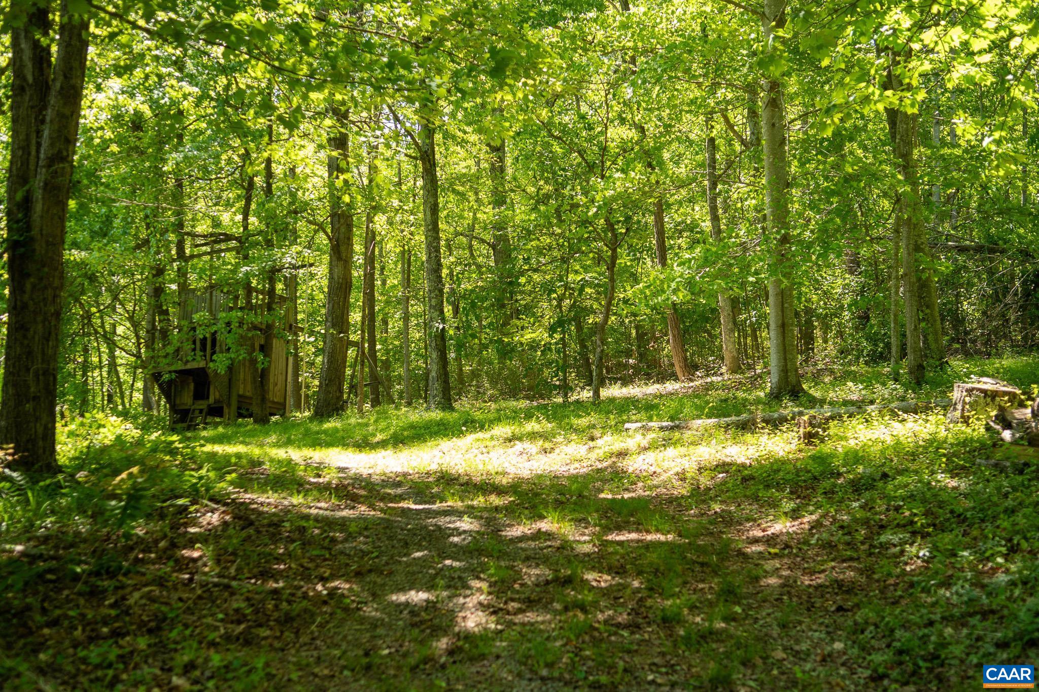 3033 Bacon Hollow Road Dyke, VA 22935 - Photo 40 of 66 a backyard of a house with lots of green space