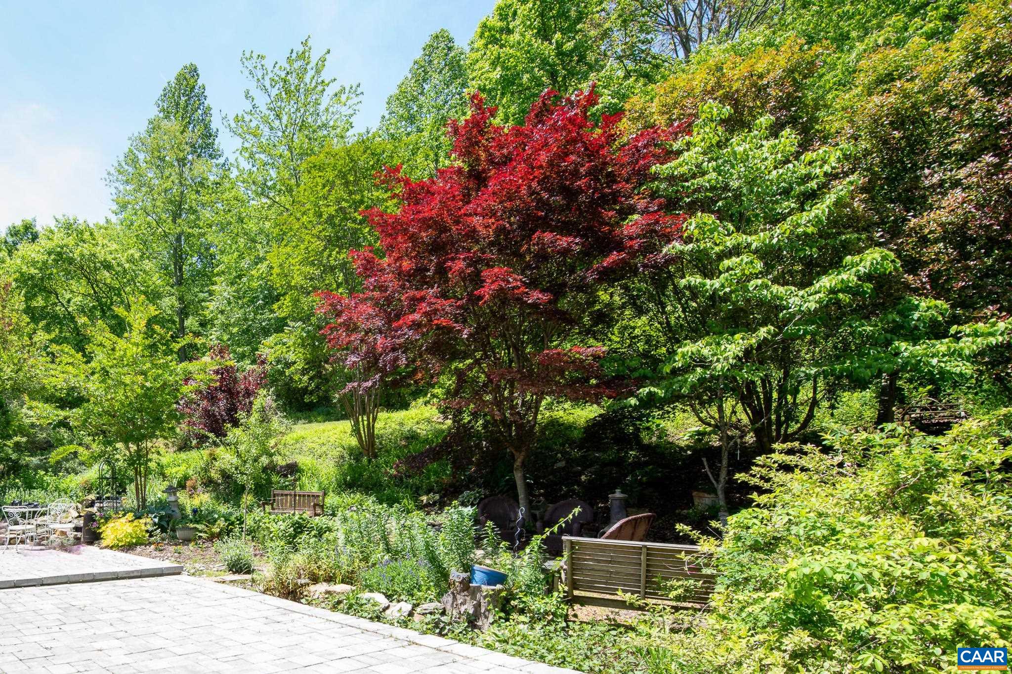 3033 Bacon Hollow Road Dyke, VA 22935 - Photo 45 of 66