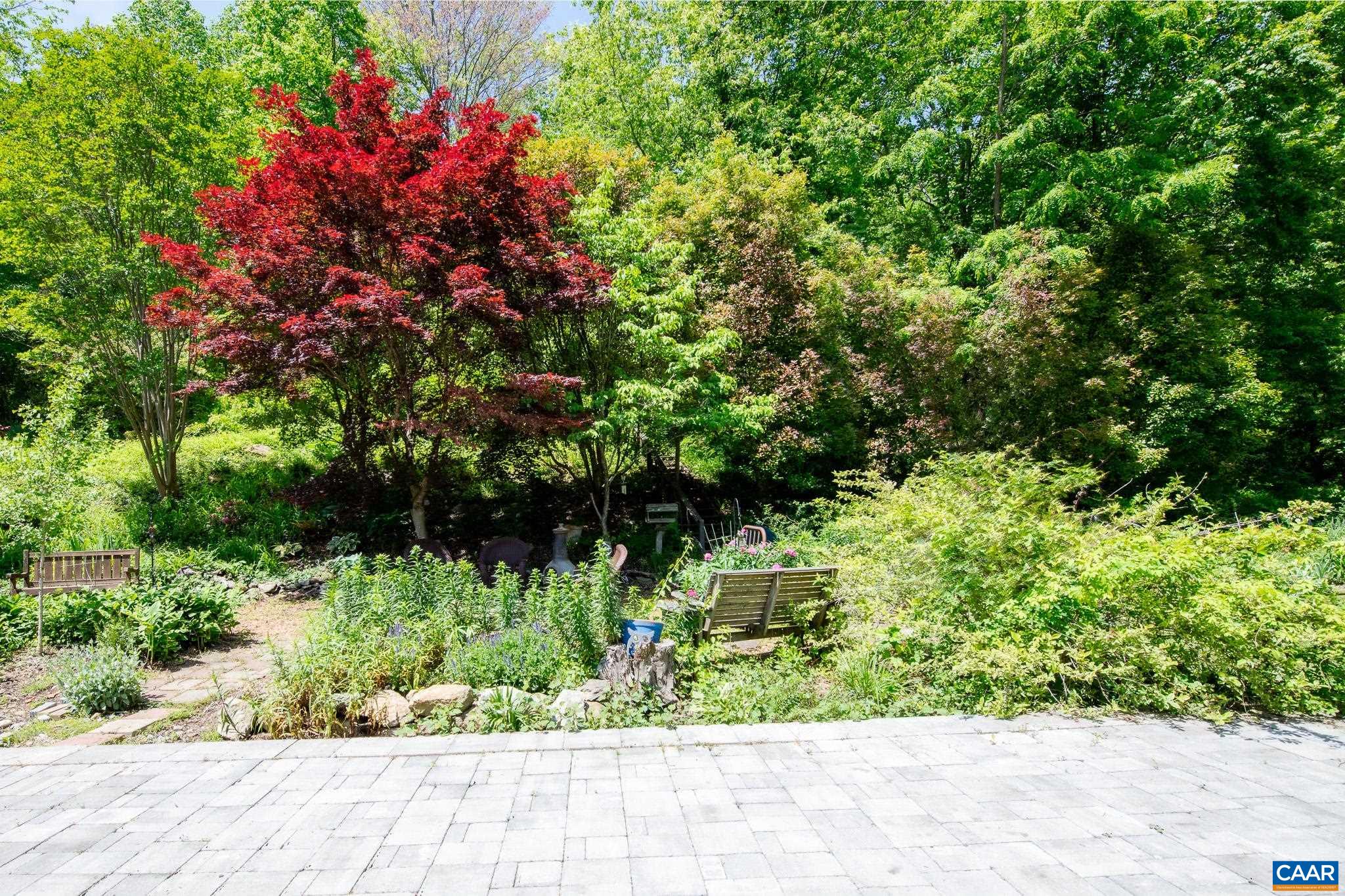 3033 Bacon Hollow Road Dyke, VA 22935 - Photo 46 of 66 a picture of flowers