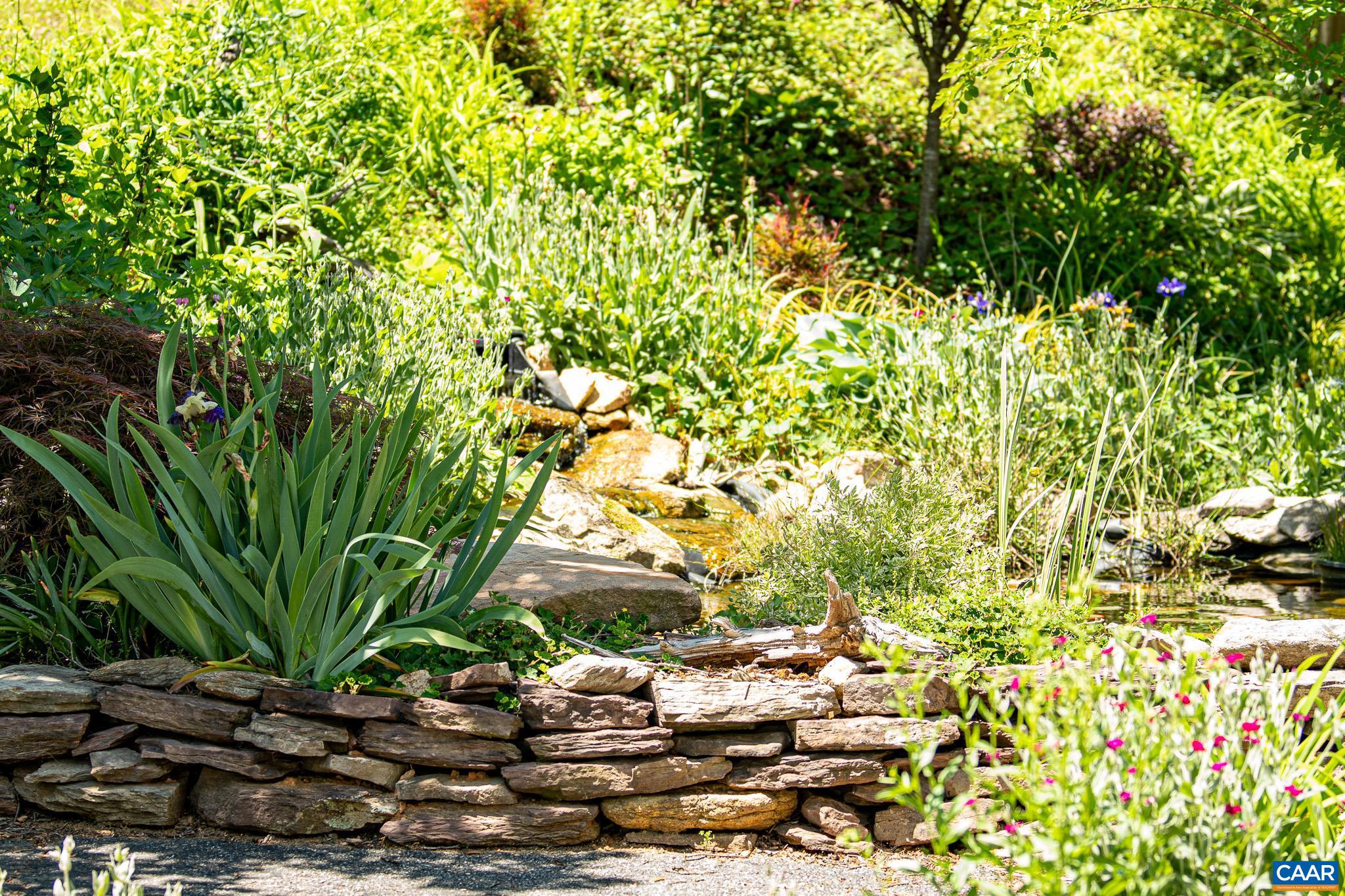3033 Bacon Hollow Road Dyke, VA 22935 - Photo 48 of 66 a view of a bunch of plants and trees
