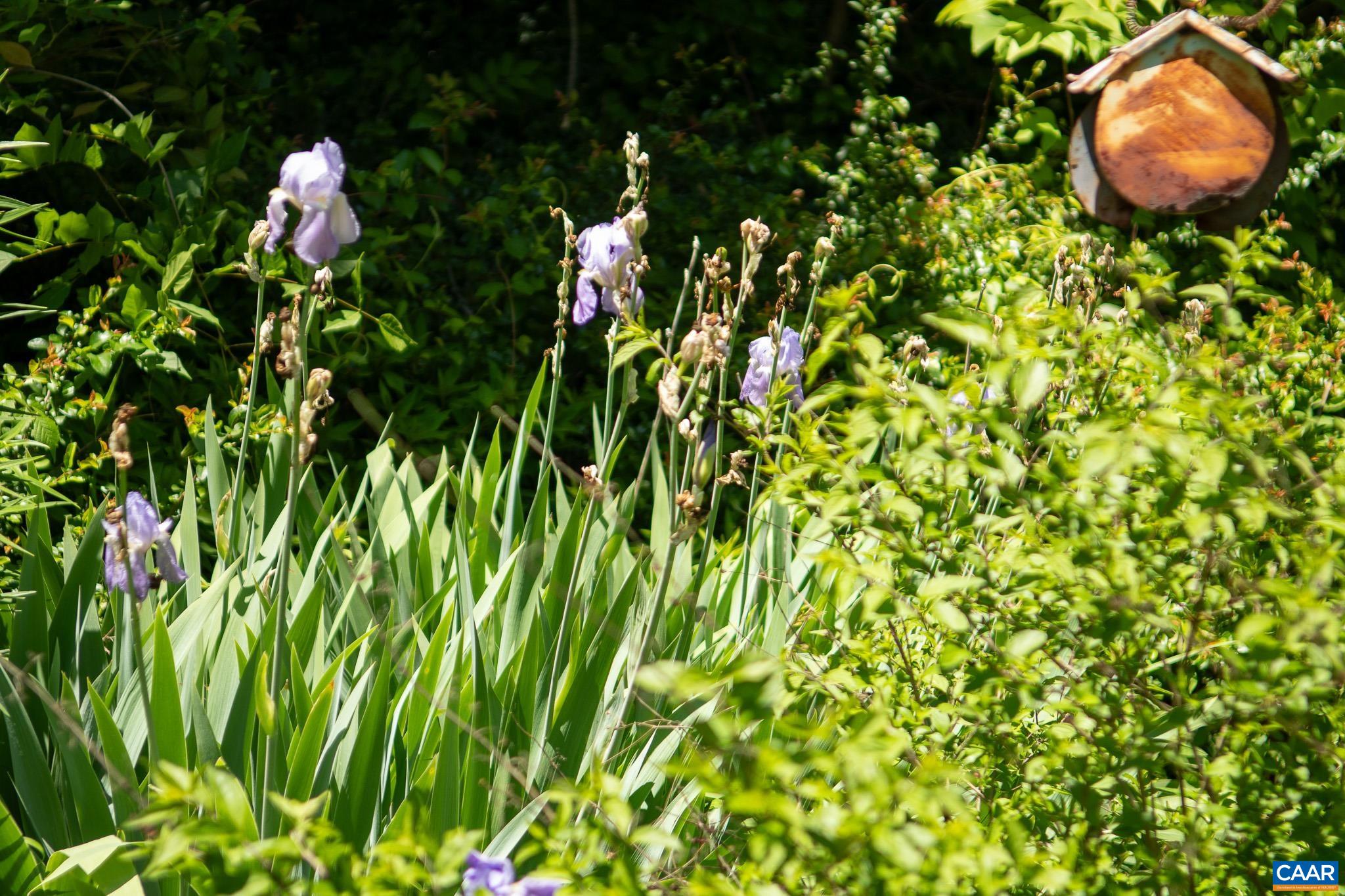3033 Bacon Hollow Road Dyke, VA 22935 - Photo 50 of 66 a backyard of a house with a table and chair