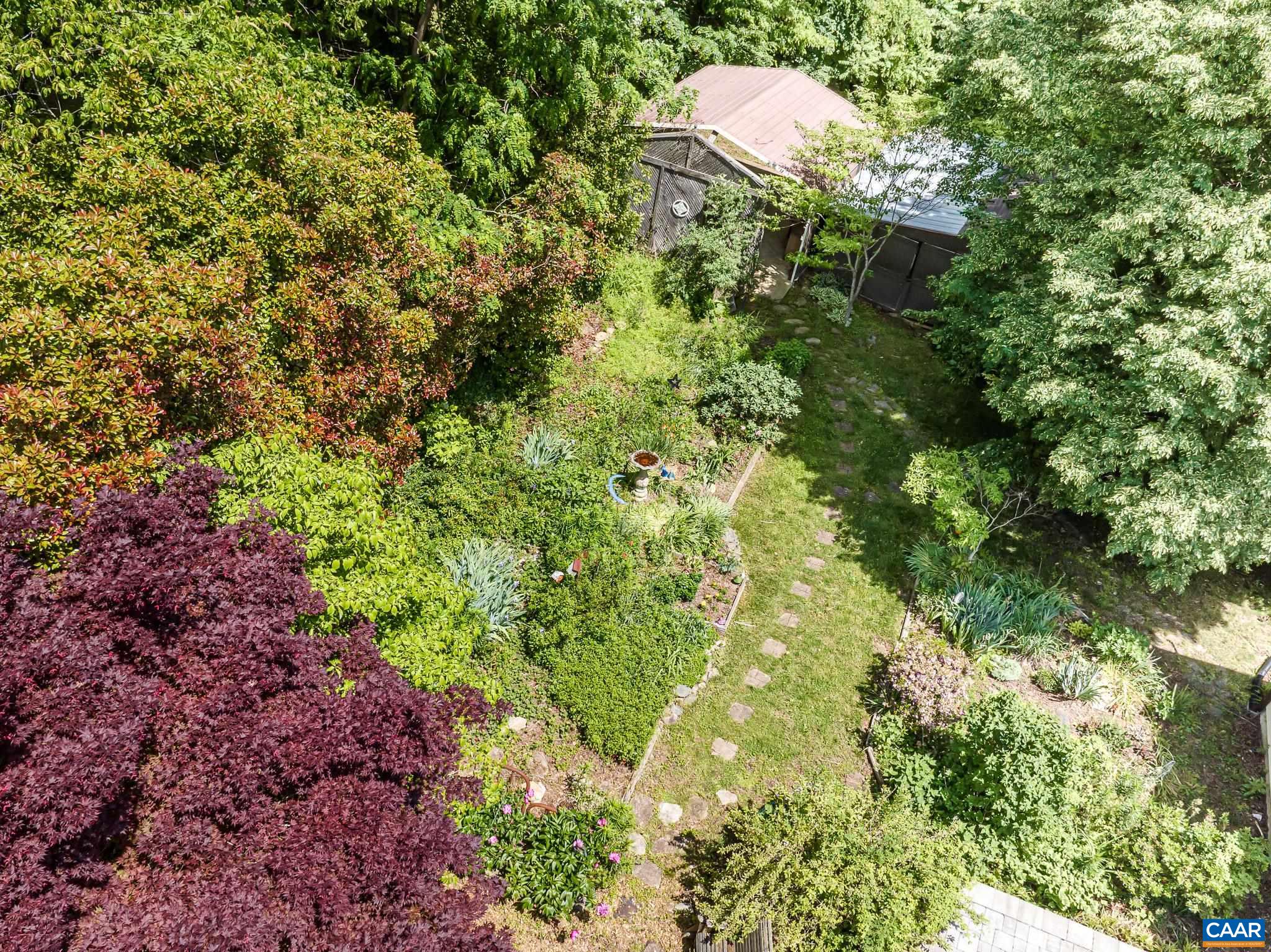 3033 Bacon Hollow Road Dyke, VA 22935 - Photo 52 of 66 a close up of a plant in a garden