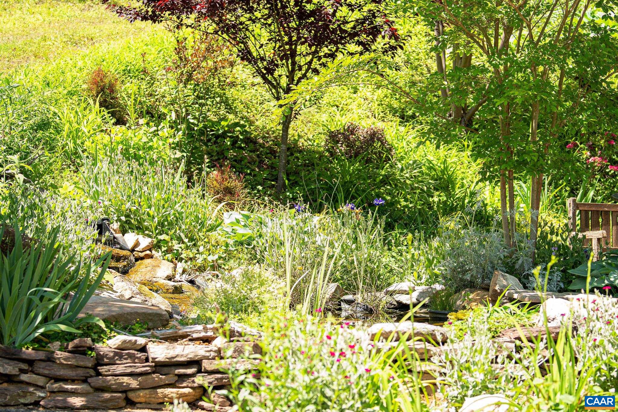 3033 Bacon Hollow Road Dyke, VA 22935 - Photo 56 of 66 a view of a garden with plants