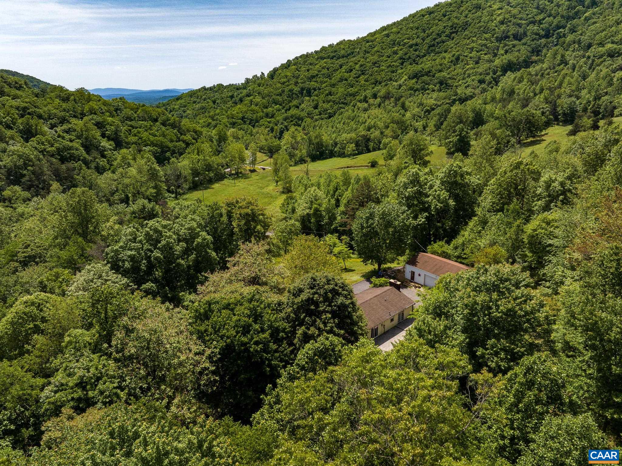 3033 Bacon Hollow Road Dyke, VA 22935 - Photo 60 of 66 a view of a forest with a street