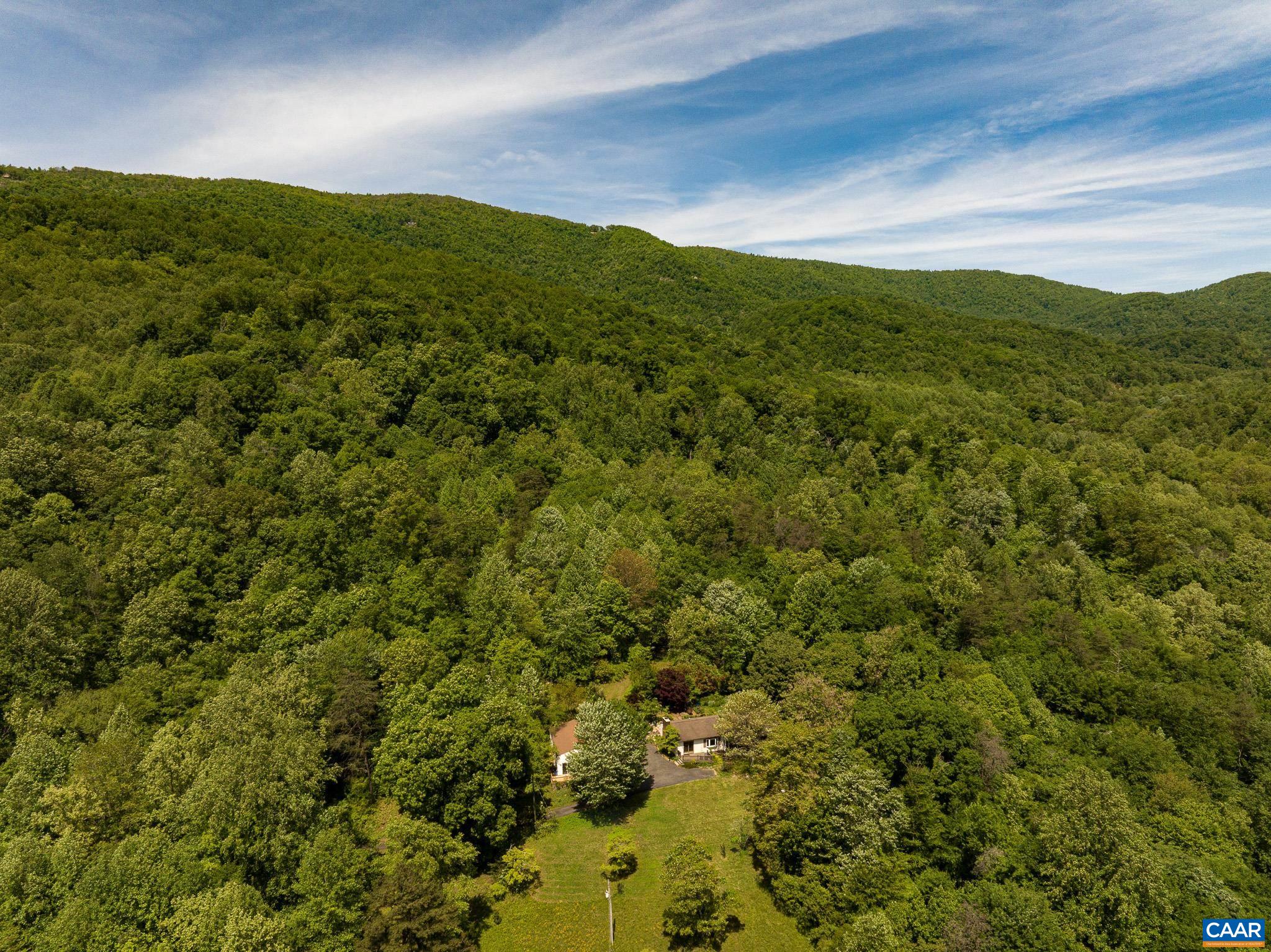3033 Bacon Hollow Road Dyke, VA 22935 - Photo 63 of 66 a view of a lush green forest with a mountain