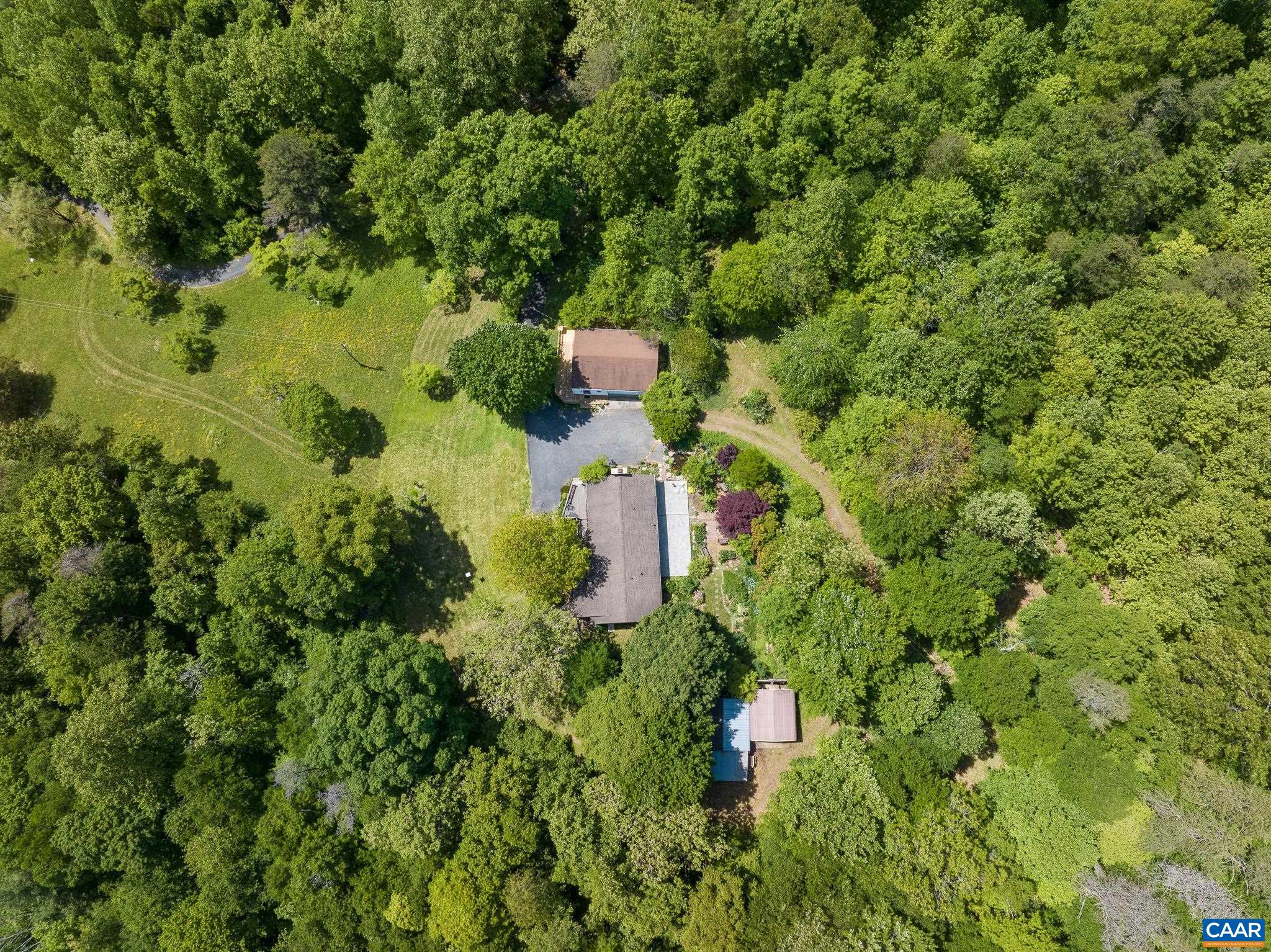 3033 Bacon Hollow Road Dyke, VA 22935 - Photo 65 of 66 a backyard of a house with a yard and large trees