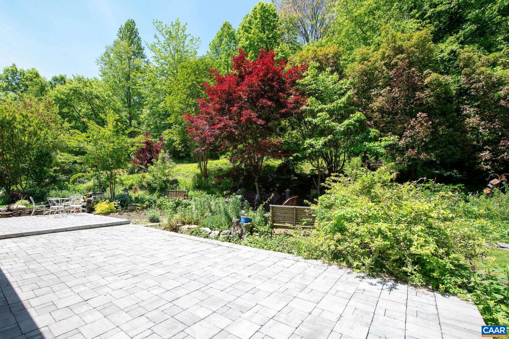 3033 Bacon Hollow Road Dyke, VA 22935 - Photo 8 of 66 a view of a backyard with plants
