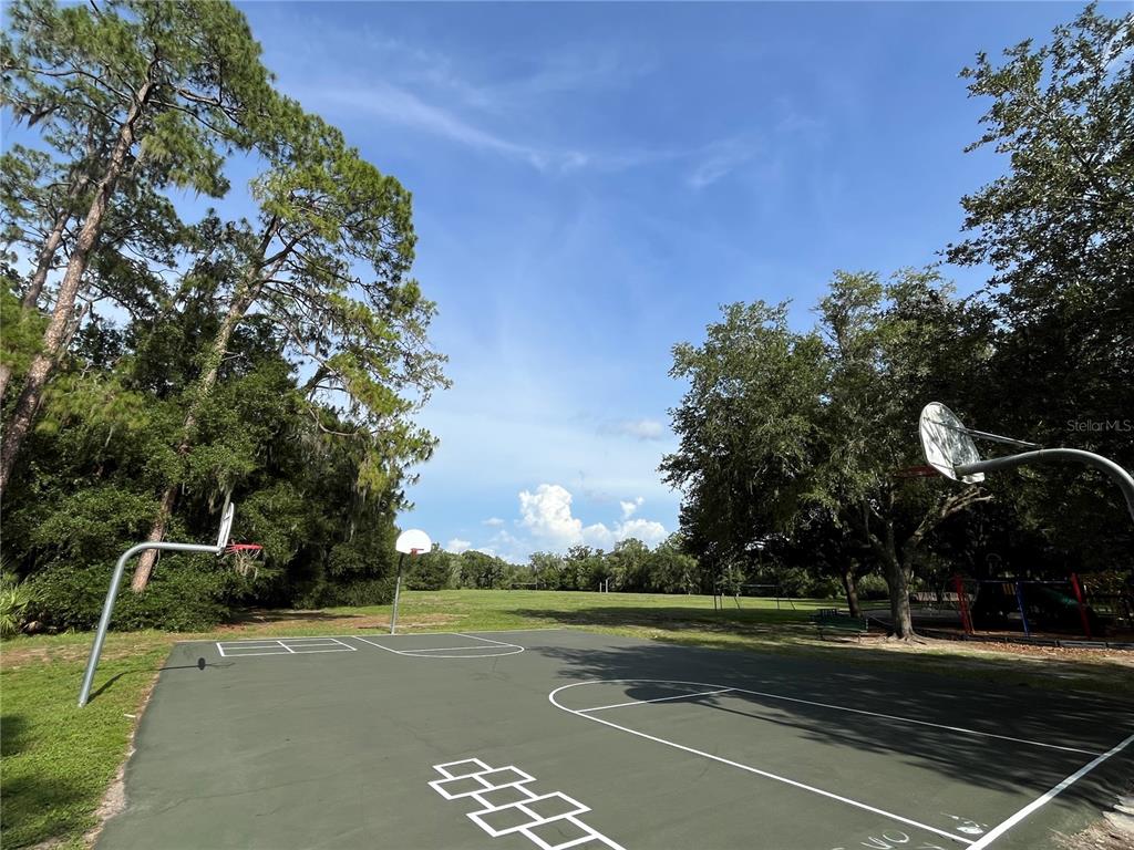 4038 Lithia Ridge Boulevard Valrico, FL 33596 - Photo 43 of 47