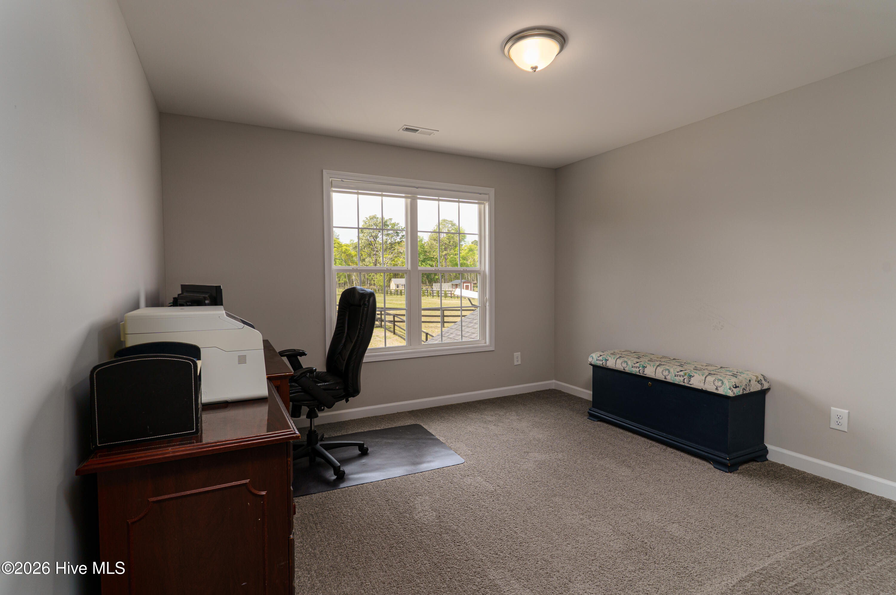 392 Buffalo Creek Road Raeford, NC 28376 - Photo 33 of 52 Baffalo Creek-20