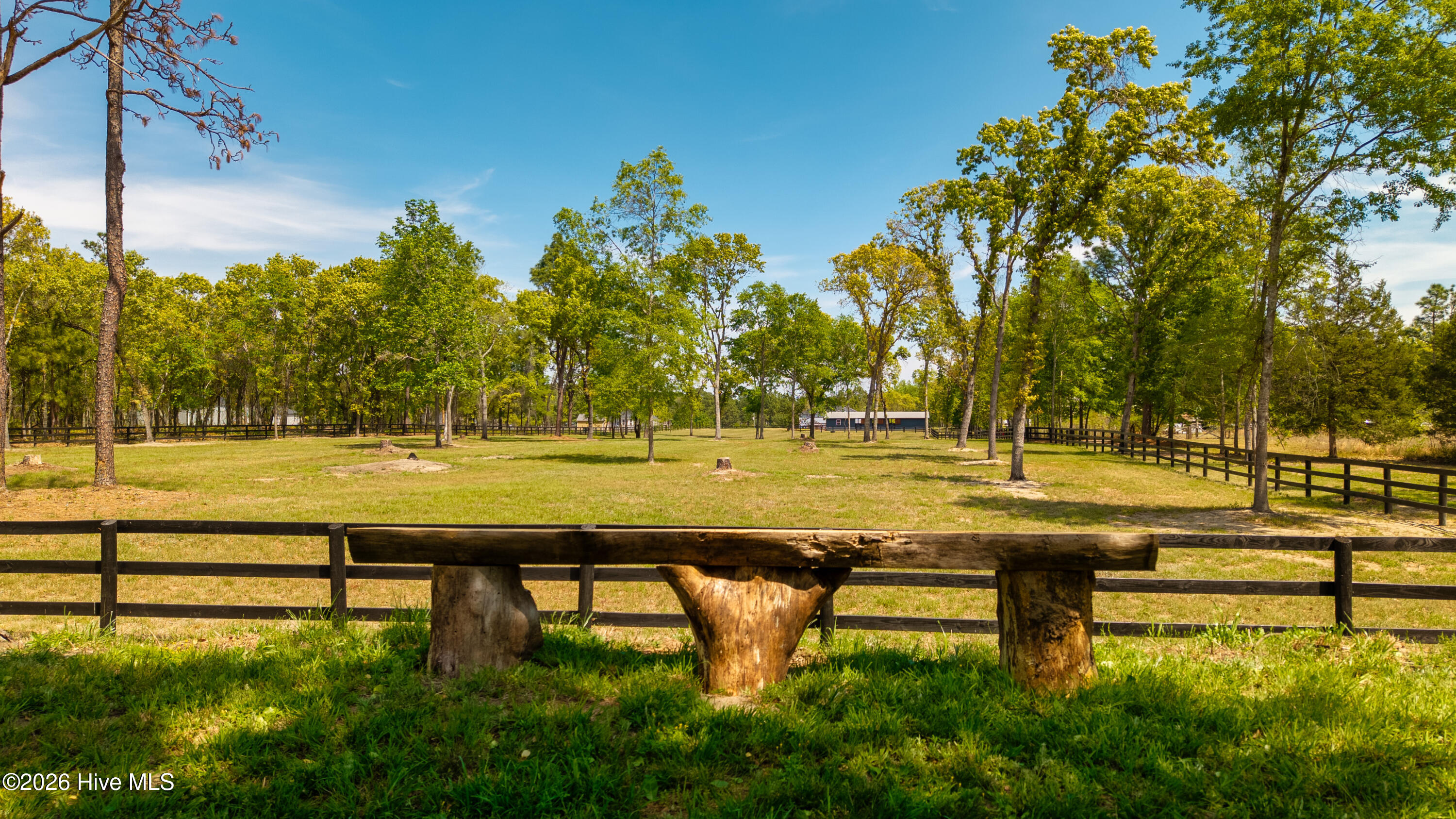 392 Buffalo Creek Road Raeford, NC 28376 - Photo 36 of 52 Baffalo Creek-47