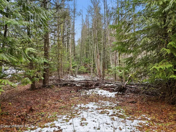 $620,000 | 12053 Dufort Road, Priest River, ID 83856