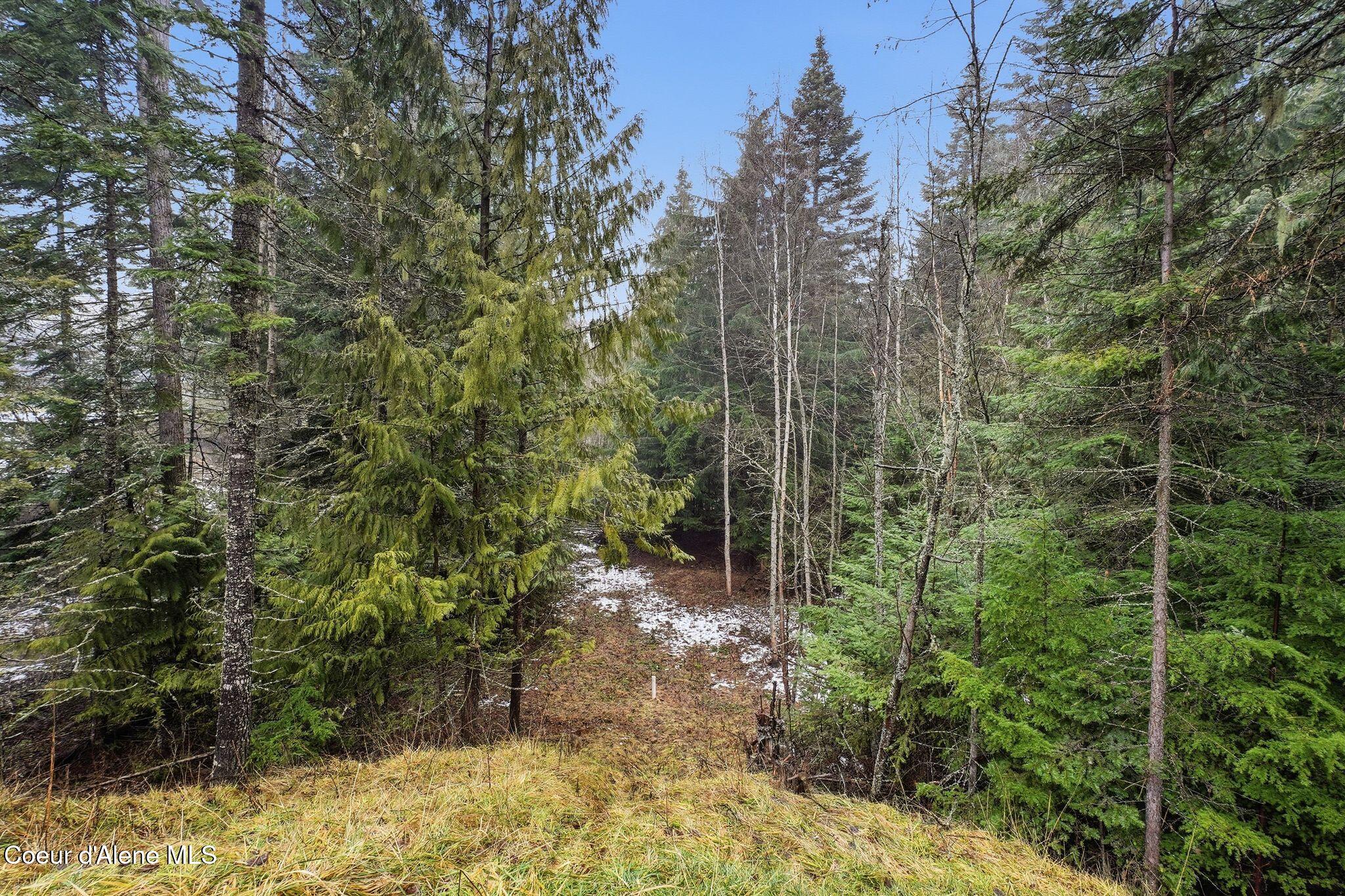 12053 Dufort Road Priest River, ID 83856 - Photo 16 of 18 IMG_0950