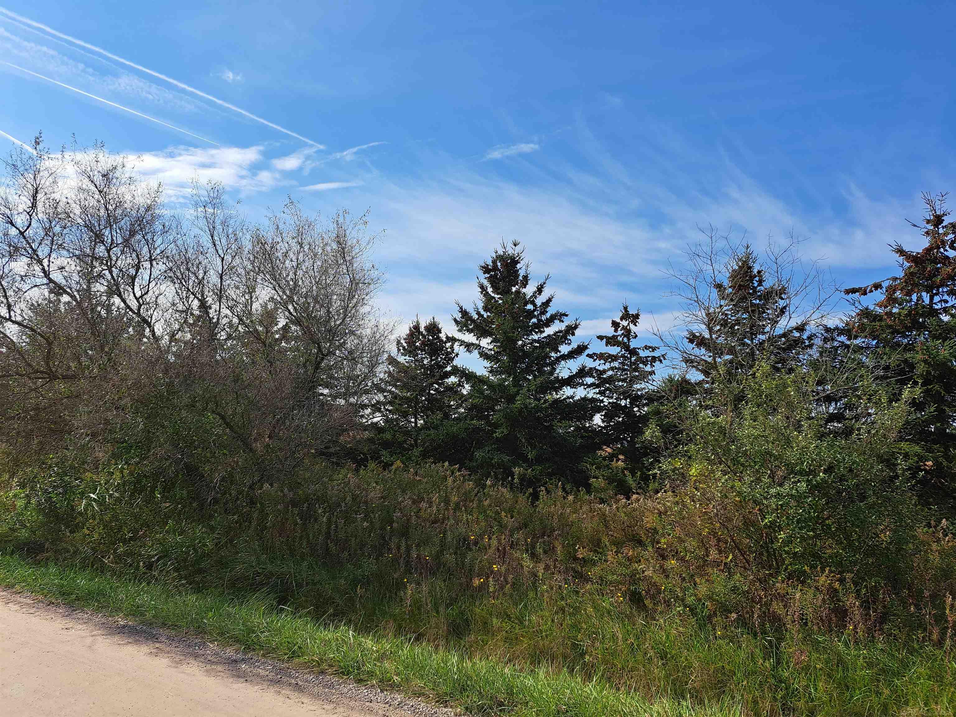 0 Andrews Road Richmond, MI 48062 - Photo 2 of 6 Gallery Image 2