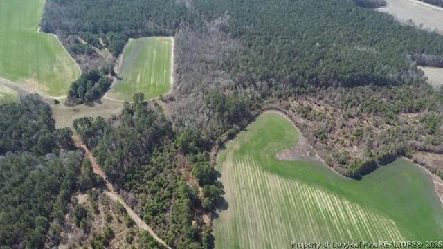 13441 Highway 87 Tar Heel, NC 28392 - Photo 4 of 12 a green field with lots of tress in it
