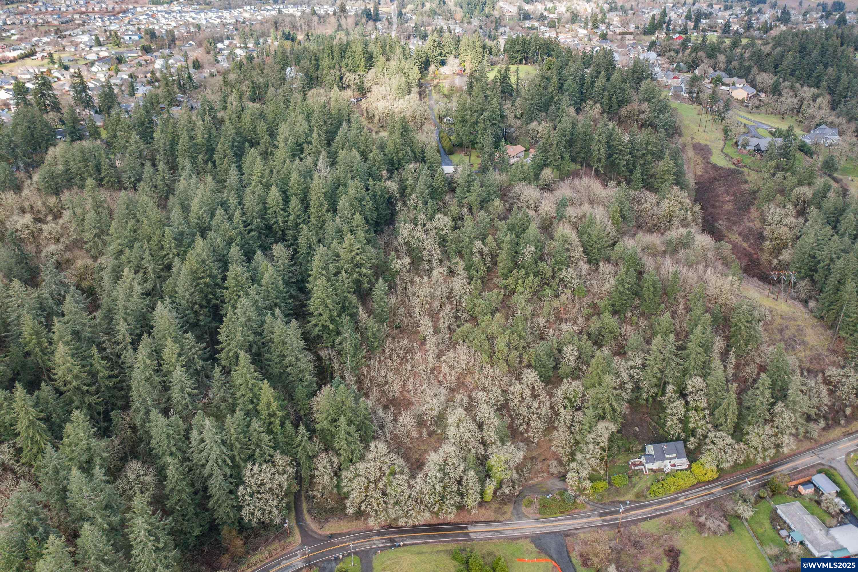 0 Northwest Maier Lane Albany, OR 97321 - Photo 11 of 25