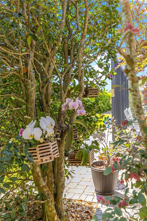 8090 South W 81st Loop Ocala, FL 34476 - Photo 34 of 37