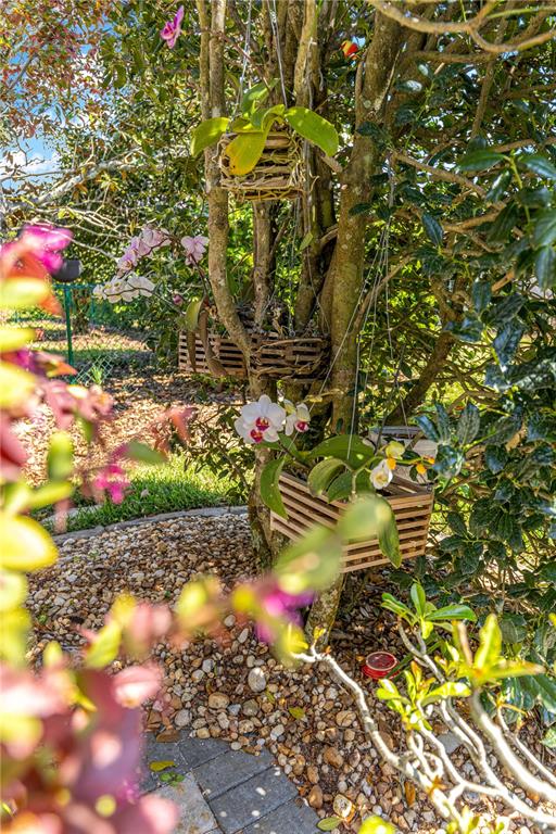 8090 South W 81st Loop Ocala, FL 34476 - Photo 35 of 37