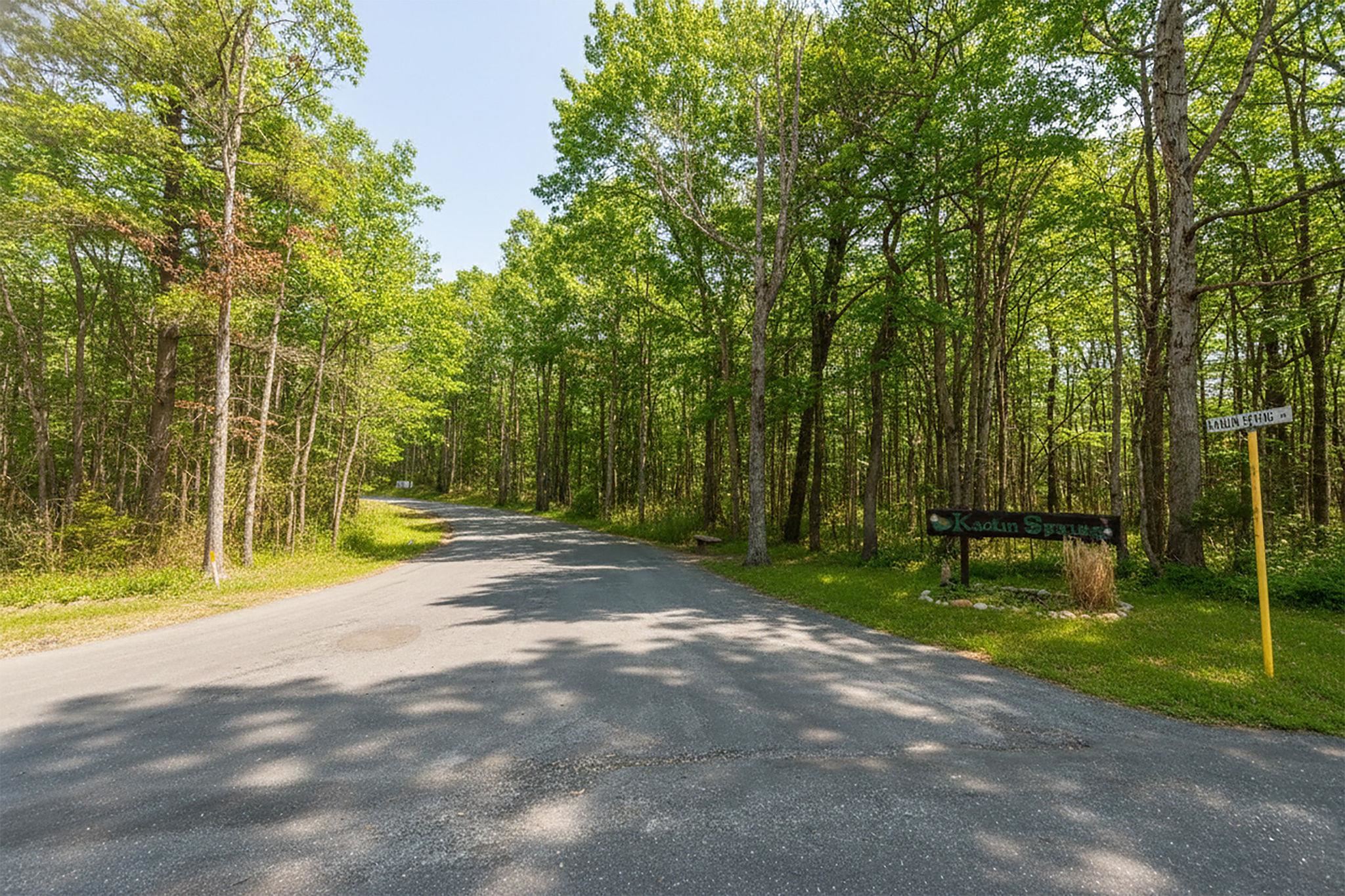 Tbd Kaolin Spring Lane Greenville, VA 24440 - Photo 12 of 32 a view of a park with large trees