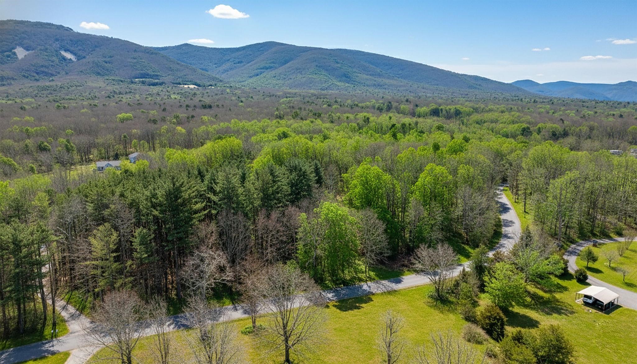 Tbd Kaolin Spring Lane Greenville, VA 24440 - Photo 13 of 32 a view of a forest with mountains in the background