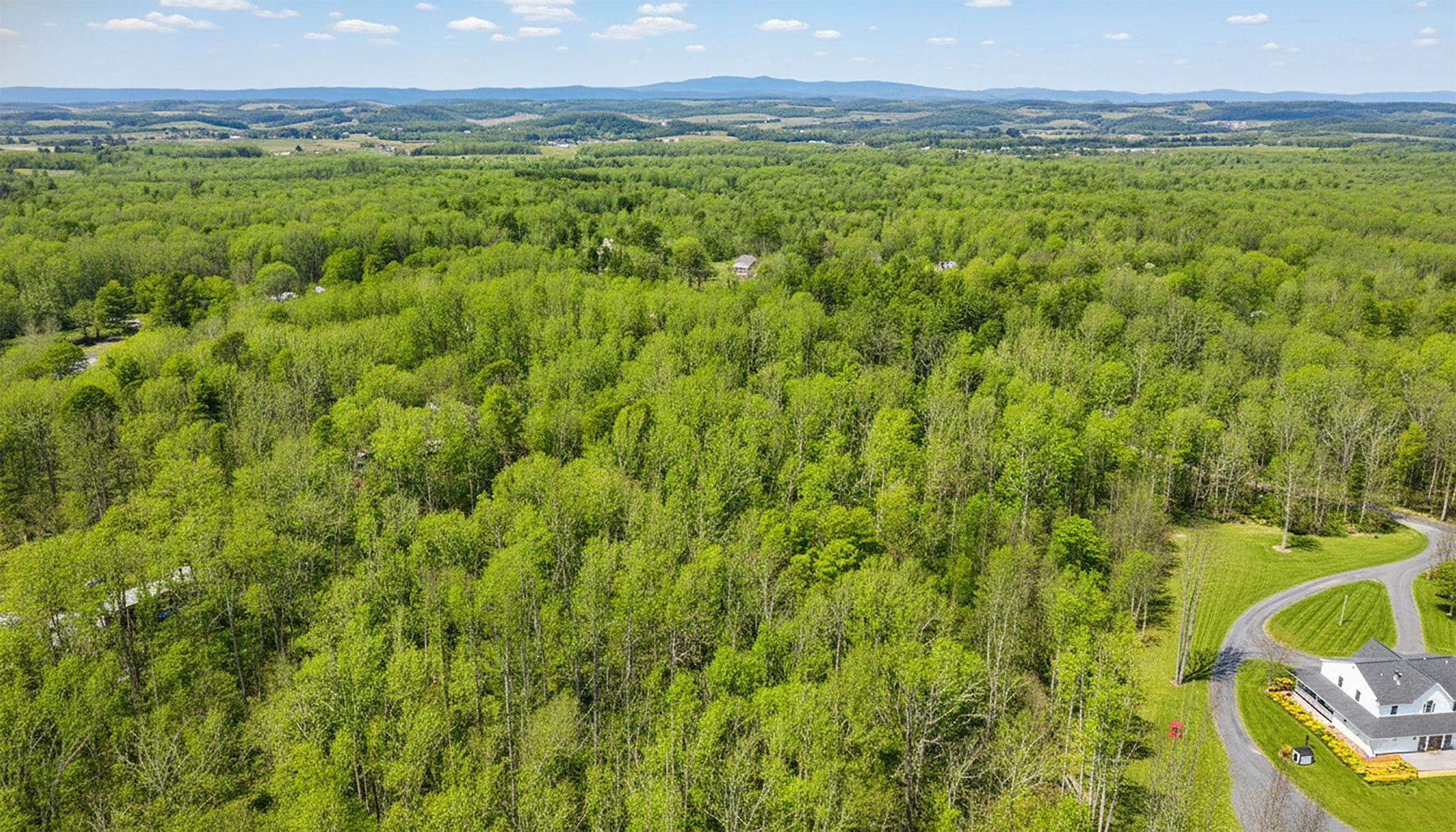 Tbd Kaolin Spring Lane Greenville, VA 24440 - Photo 18 of 32 a view of a lush green forest with trees and some houses