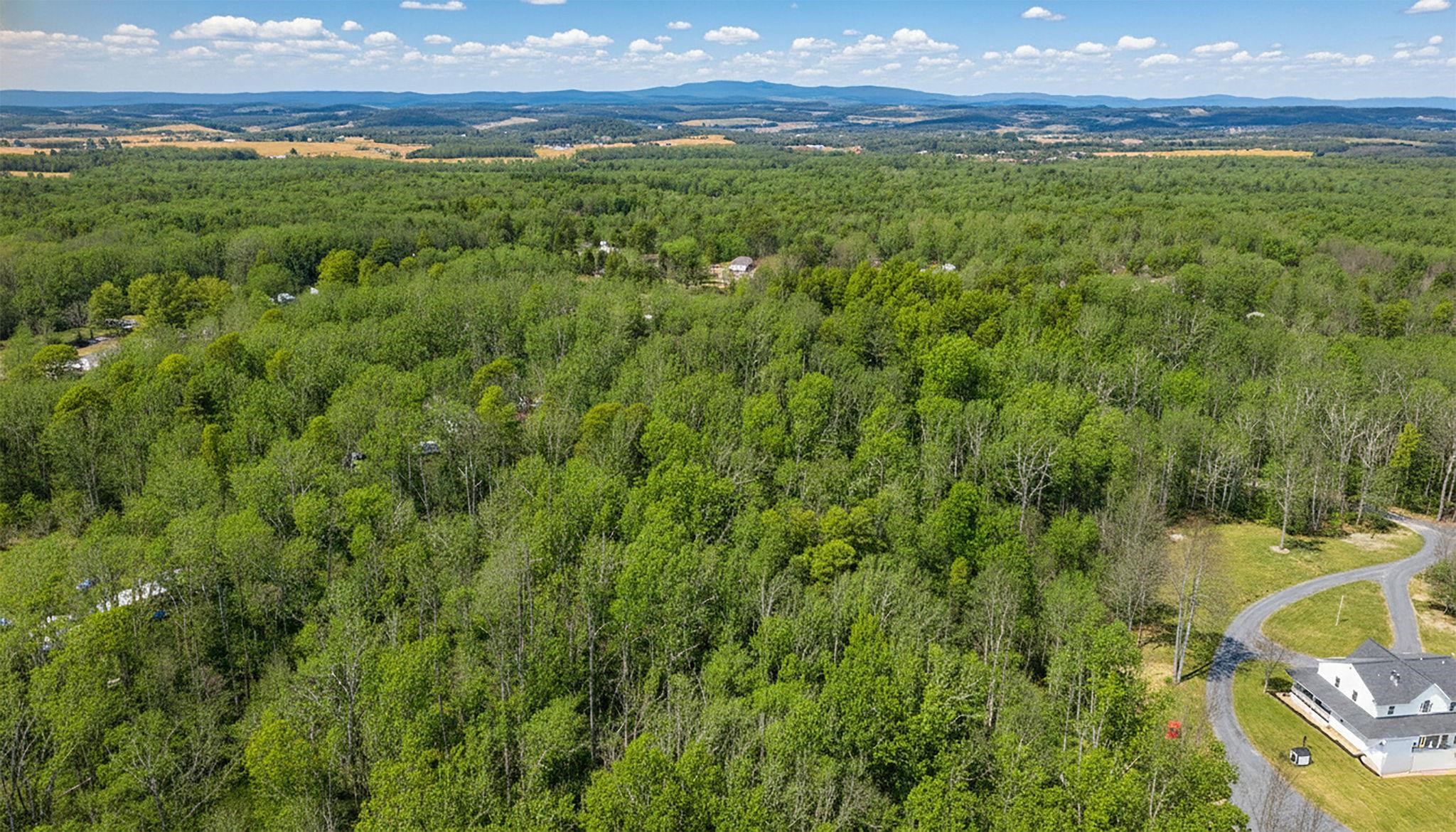 Tbd Kaolin Spring Lane Greenville, VA 24440 - Photo 19 of 32 a view of a lush green forest with trees in the background