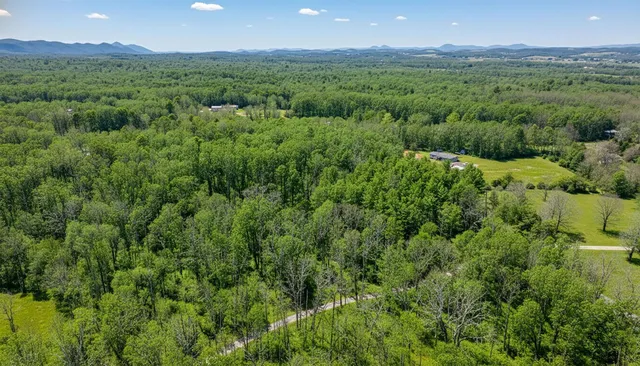 $99,000 | Tbd Kaolin Spring Lane, Greenville, VA 24440