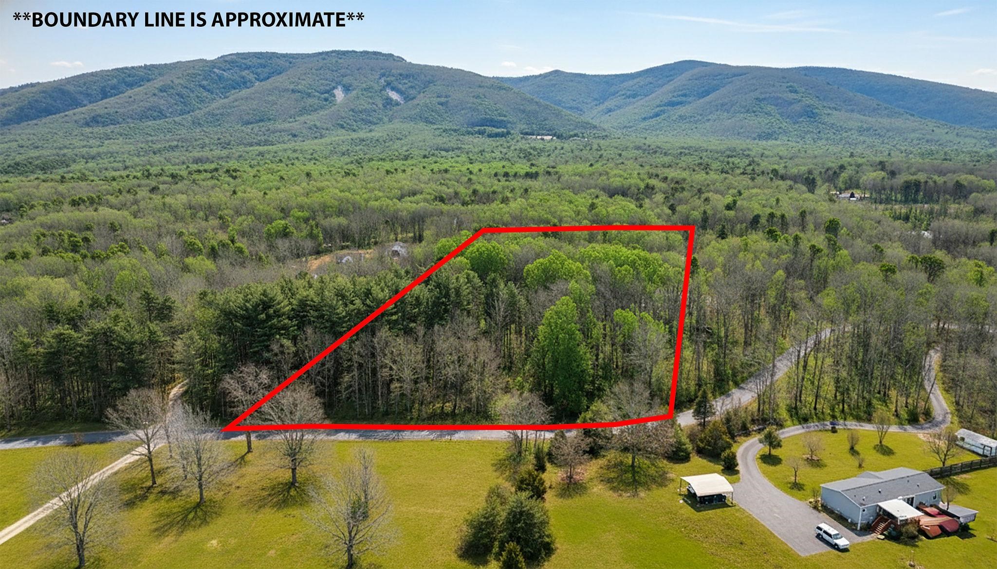 Tbd Kaolin Spring Lane Greenville, VA 24440 - Photo 2 of 32 a view of a backyard with a small pool and plants