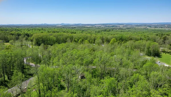 a view of a lush green forest with trees and some houses