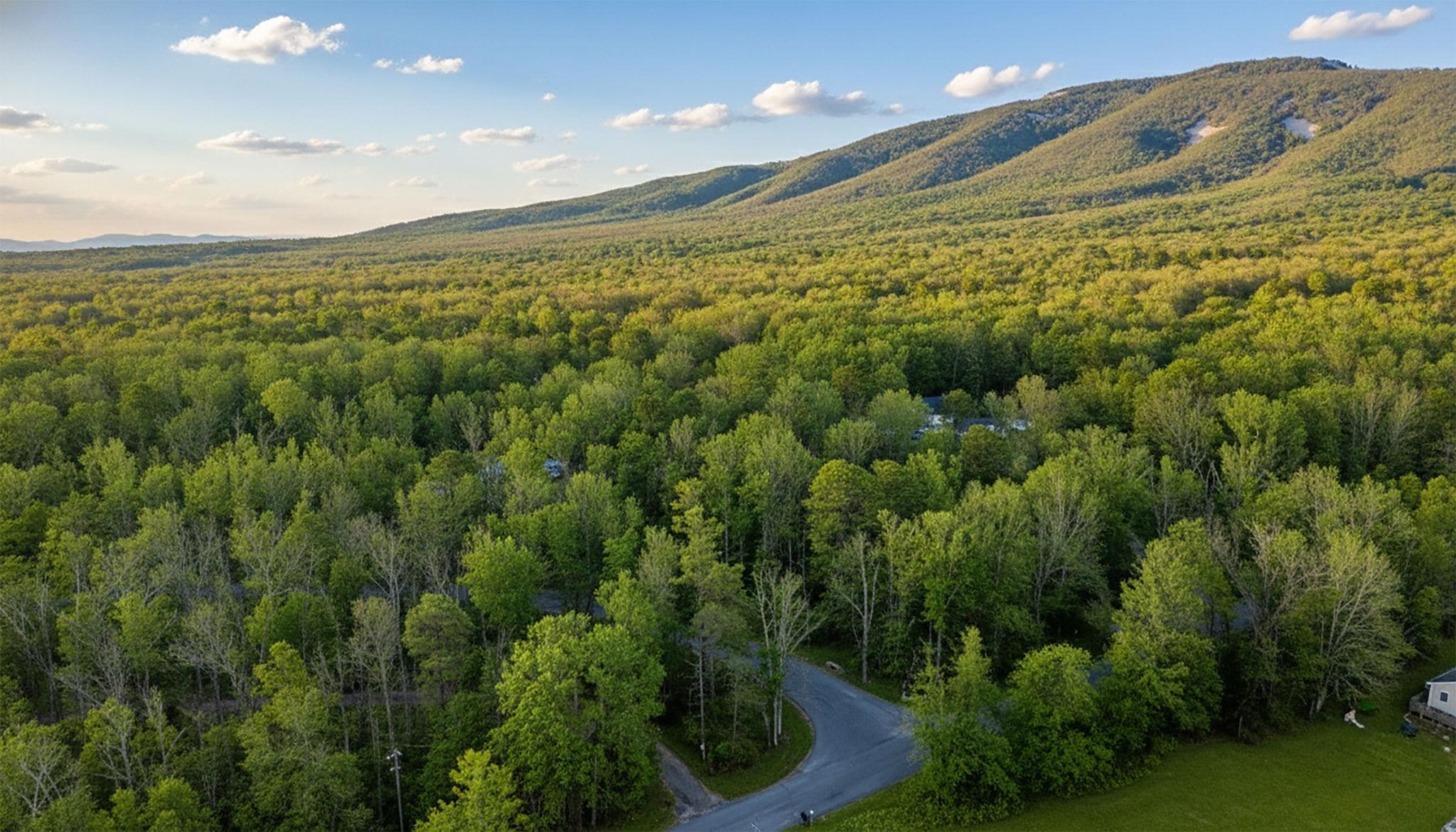 Tbd Kaolin Spring Lane Greenville, VA 24440 - Photo 24 of 32 a view of a big yard