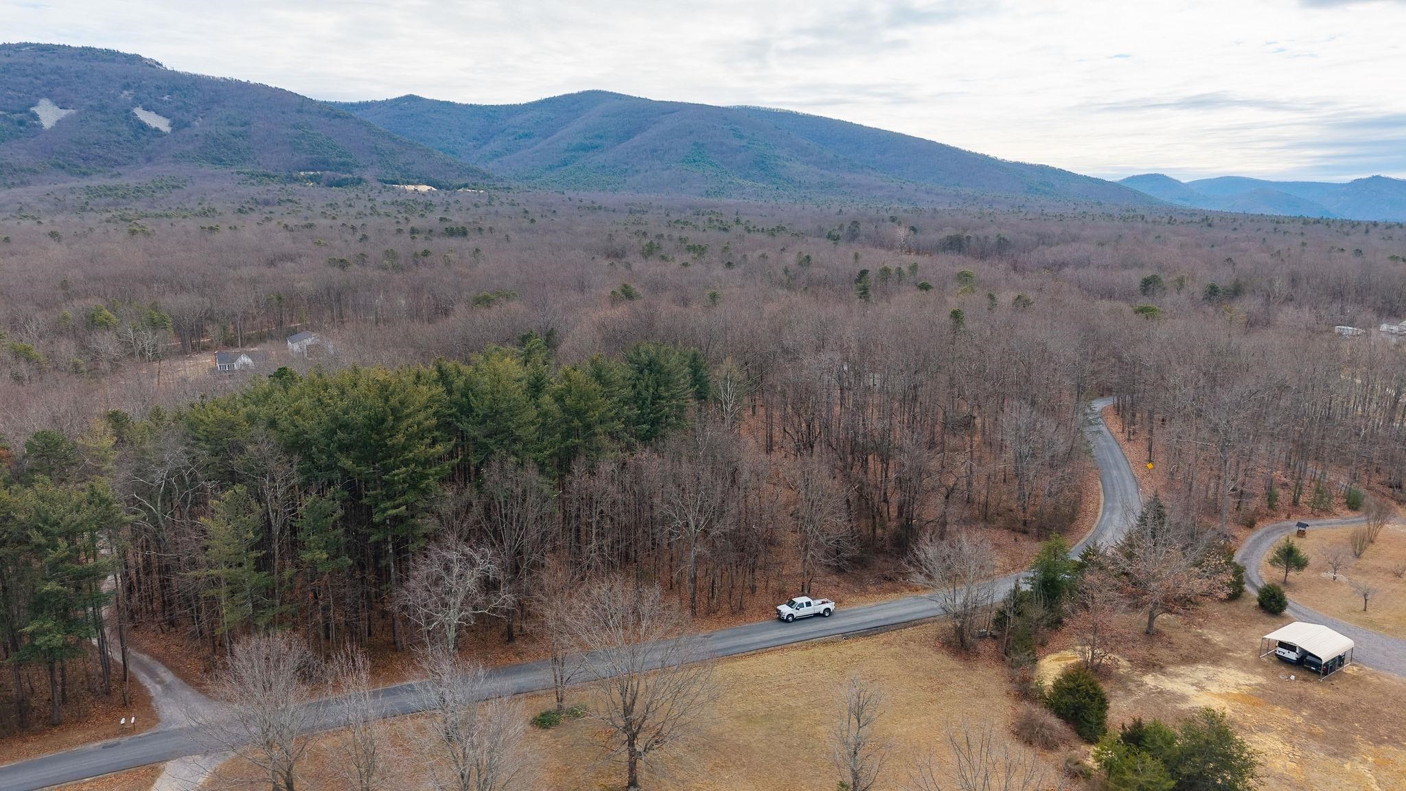 Tbd Kaolin Spring Lane Greenville, VA 24440 - Photo 25 of 32 a view of a dry field with trees in the background