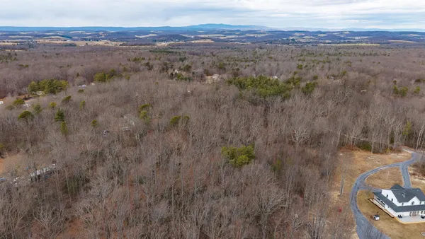 a view of a forest with trees in the background
