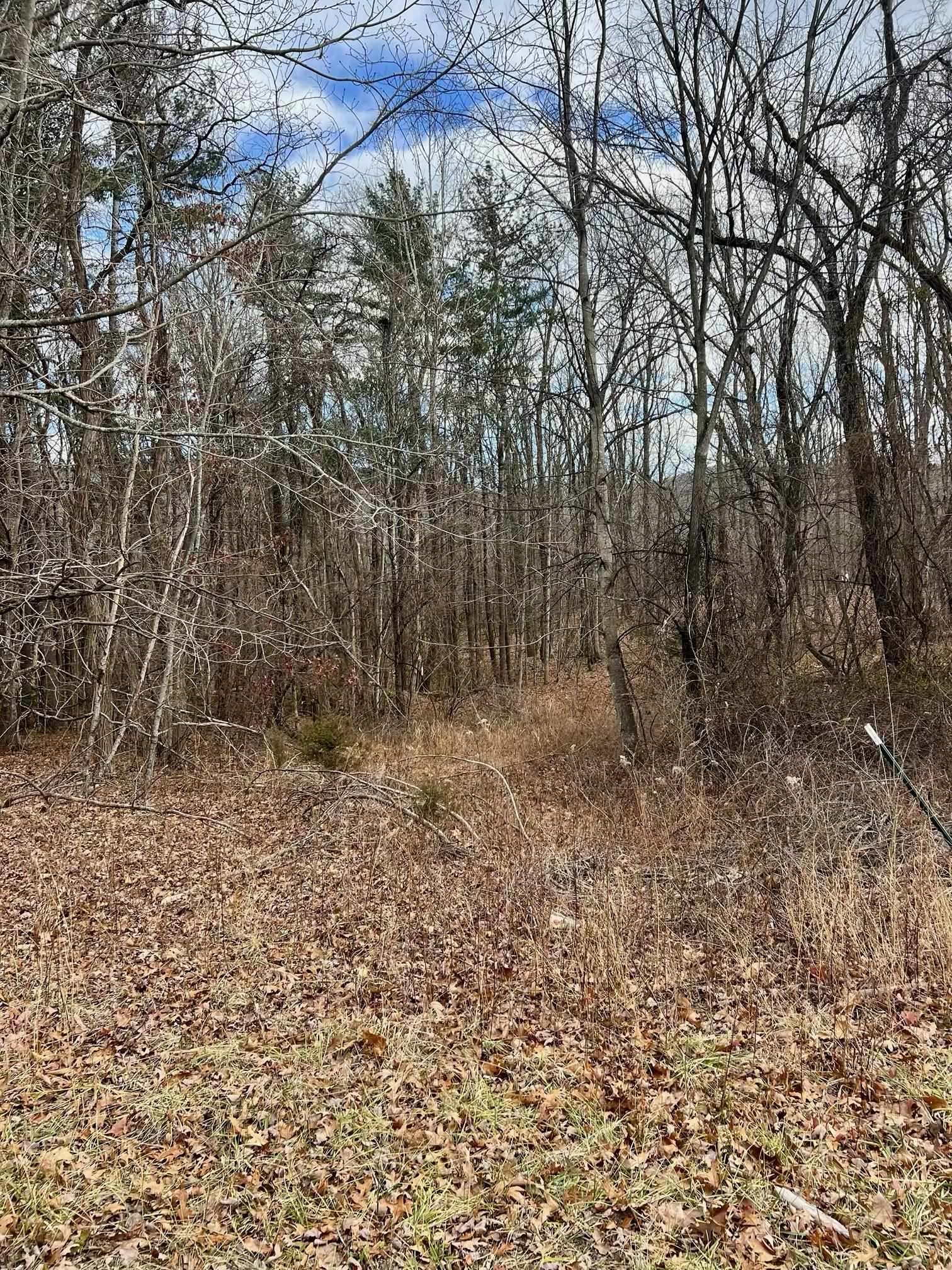 Tbd Kaolin Spring Lane Greenville, VA 24440 - Photo 3 of 32 a view of a yard with a tree