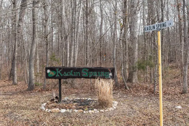 $99,000 | Tbd Kaolin Spring Lane, Greenville, VA 24440