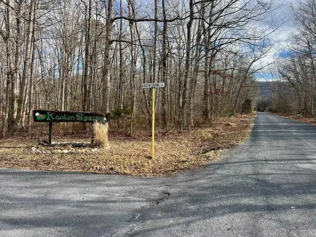 $99,000 | Tbd Kaolin Spring Lane, Greenville, VA 24440