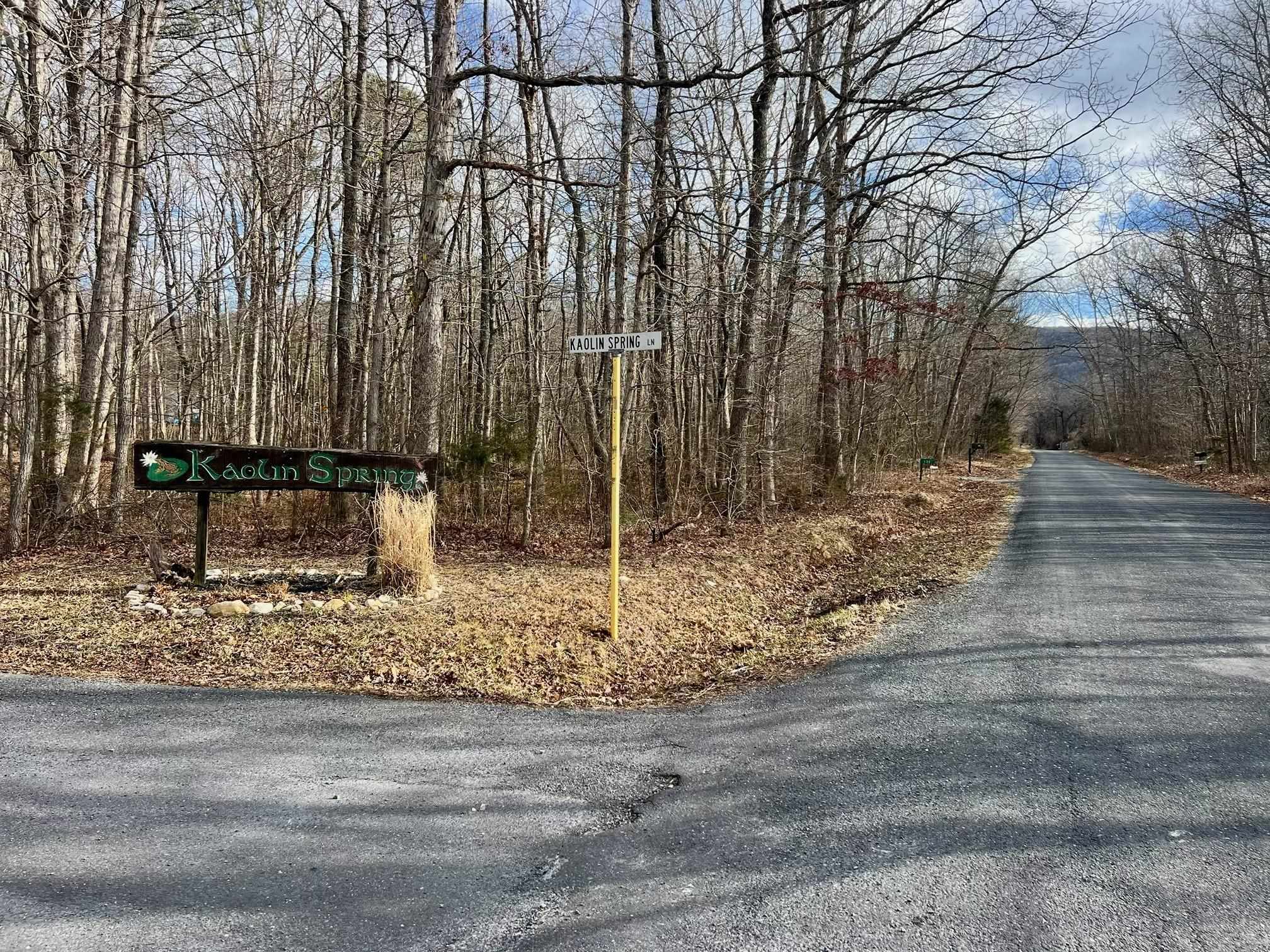 Tbd Kaolin Spring Lane Greenville, VA 24440 - Photo 6 of 32 a backyard of a house with lots of green space