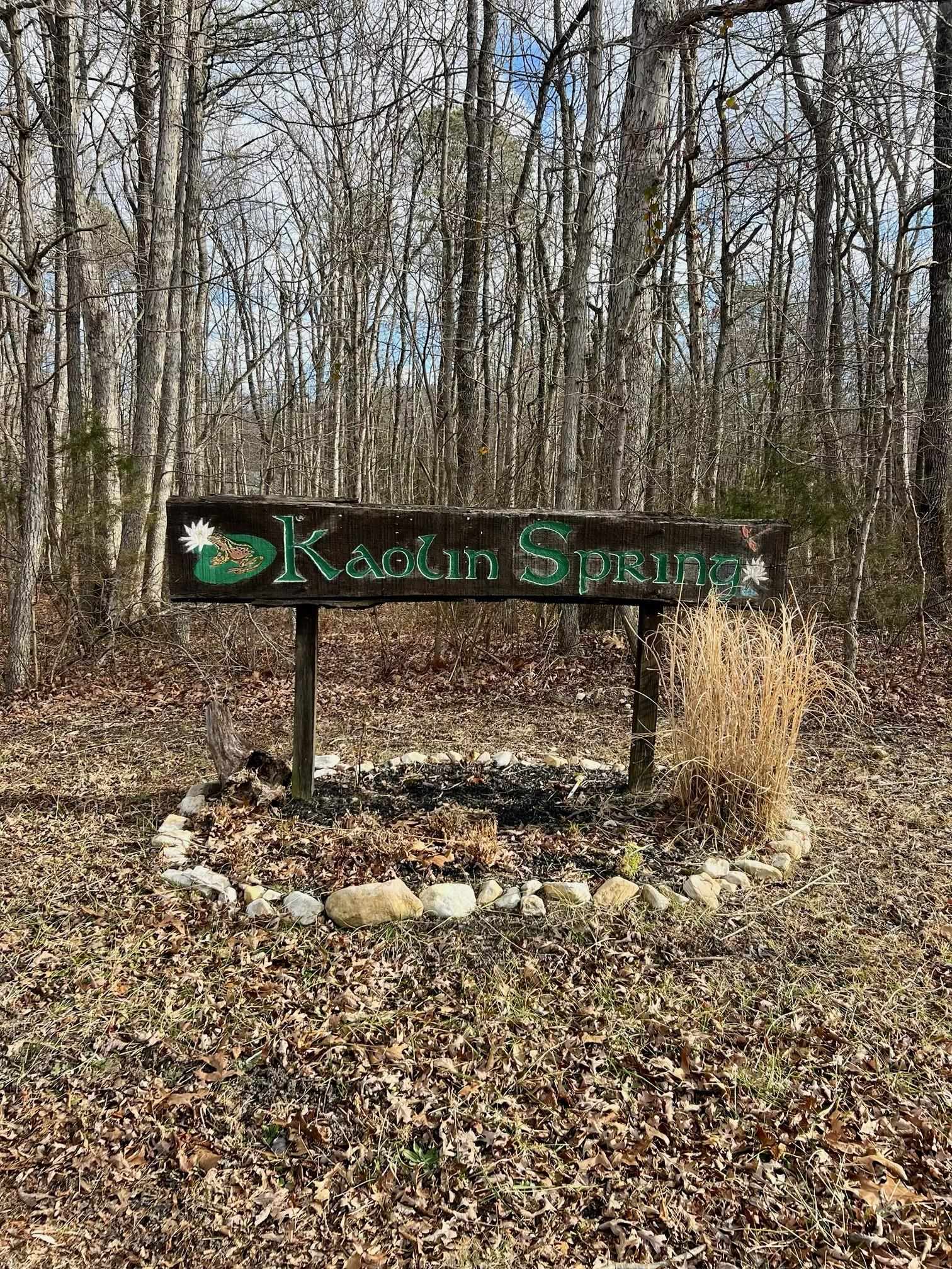 Tbd Kaolin Spring Lane Greenville, VA 24440 - Photo 6 of 32 a view of a yard with a bench