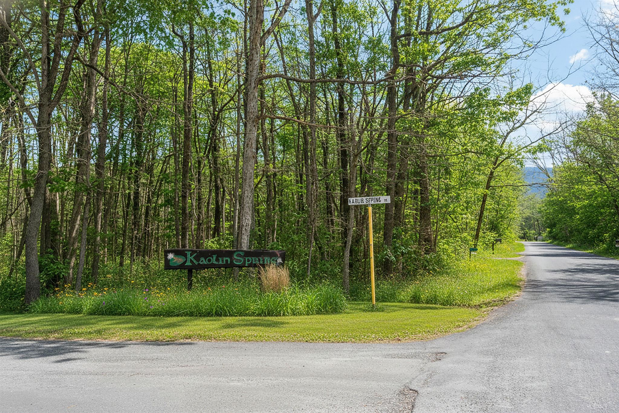 Tbd Kaolin Spring Lane Greenville, VA 24440 - Photo 9 of 32 a view of a park