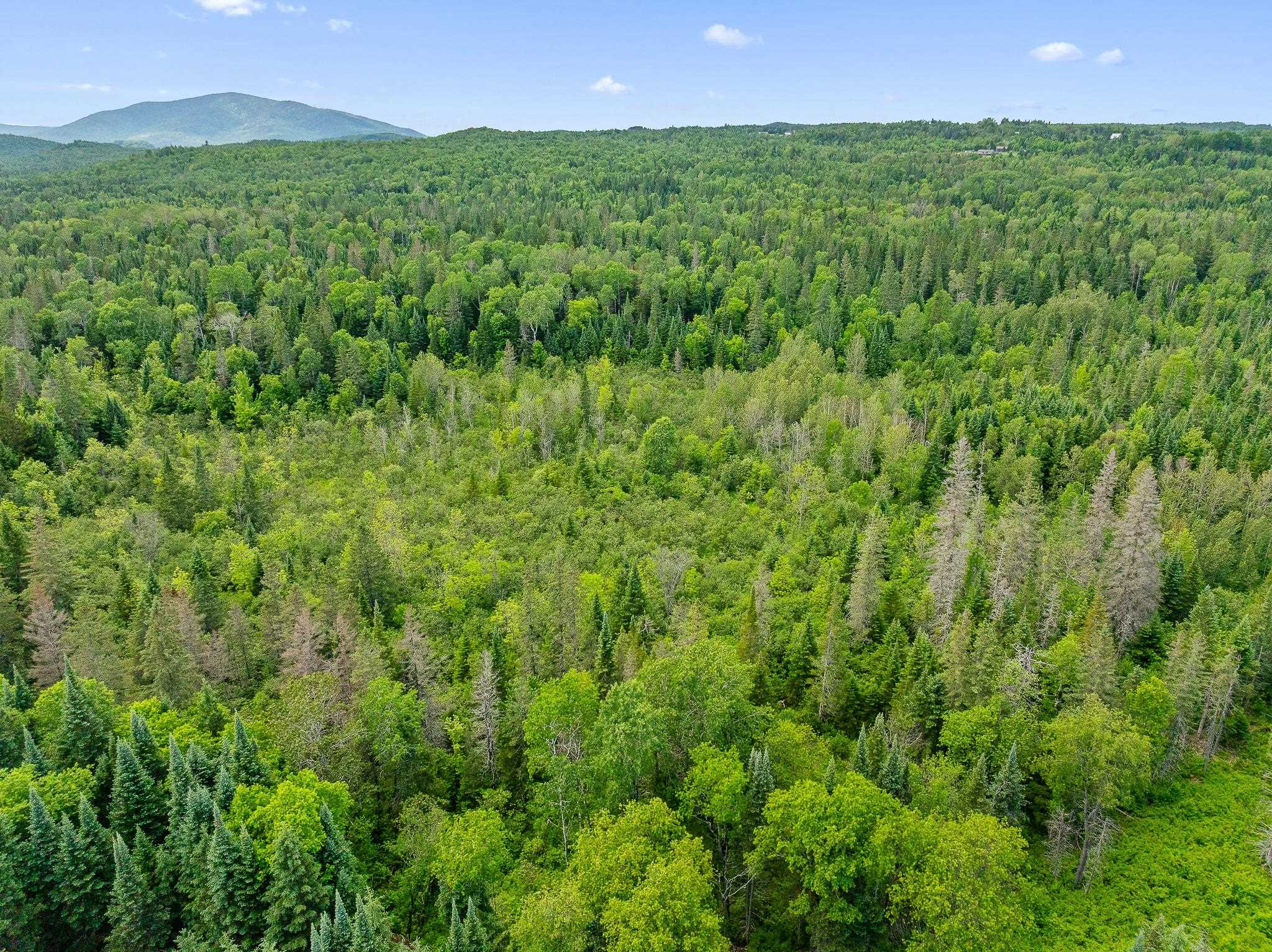 354 Gray Road Columbia, NH 03576 - Photo 11 of 37