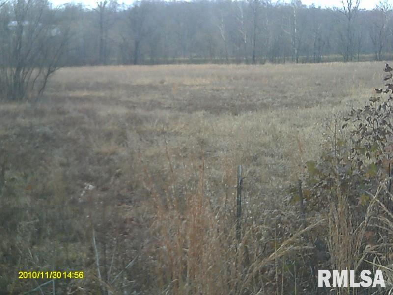 0 Iron Furnace Road Elizabethtown, IL 62931 - Photo 4 of 5 Gallery Image 4