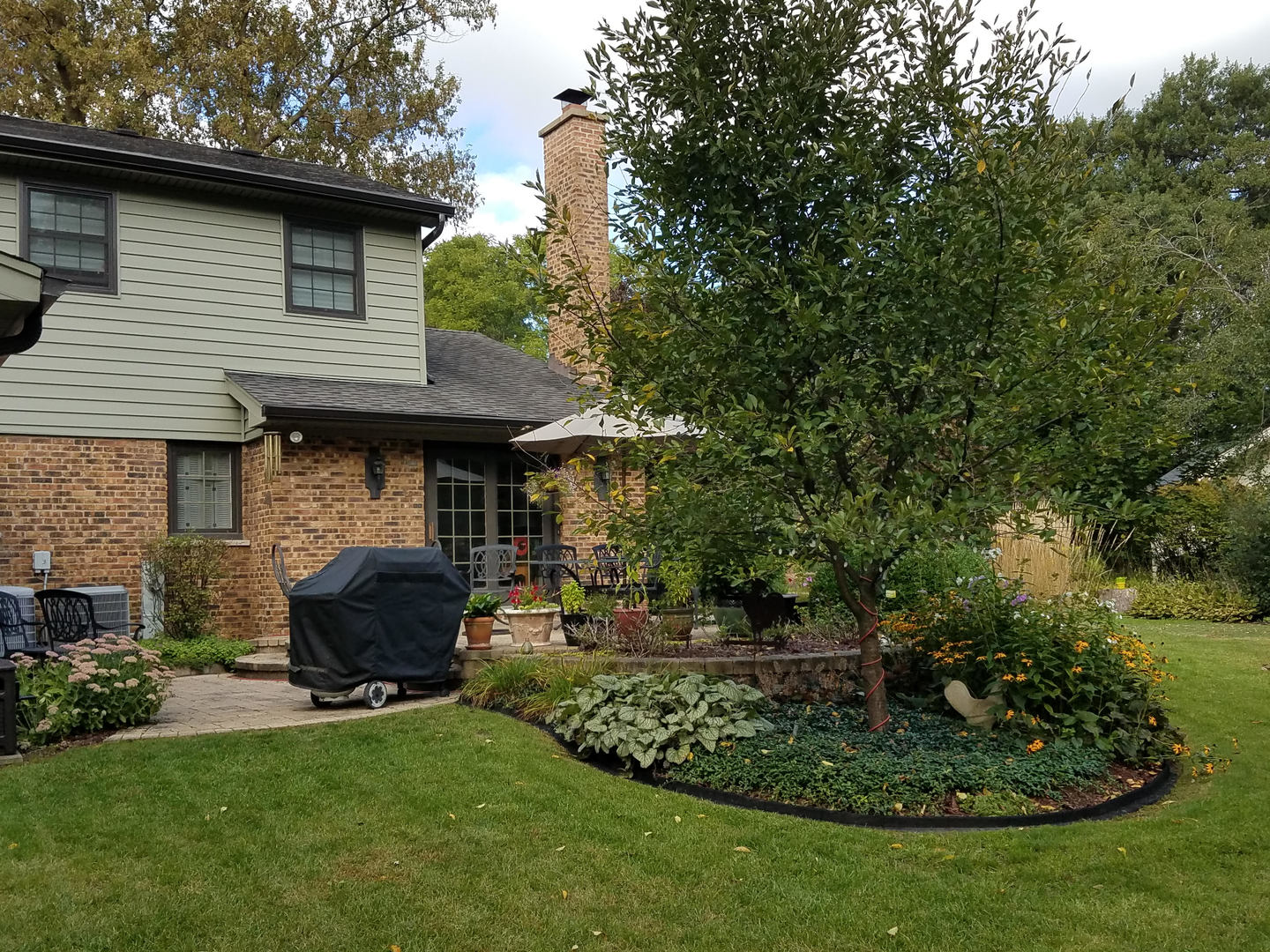 303 Roberts Road Inverness, IL 60067 - Photo 38 of 48 a view of backyard with table and chairs potted plants and large tree